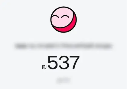 העברת עמלה בביט לשותף: 537 ₪